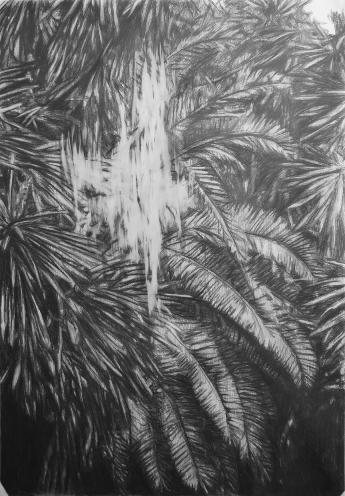 frederic malette-l envers du possible 3-graphite-70x100cm-2016