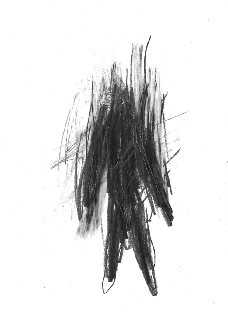 frederic malette-LES PETITS CORPS-21X29,7CM-GRAPHITE-2016-14