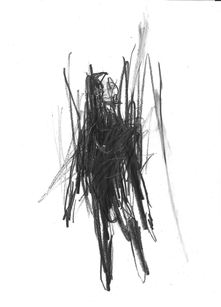 frederic malette-LES PETITS CORPS-21X29,7CM-GRAPHITE-2016- 7