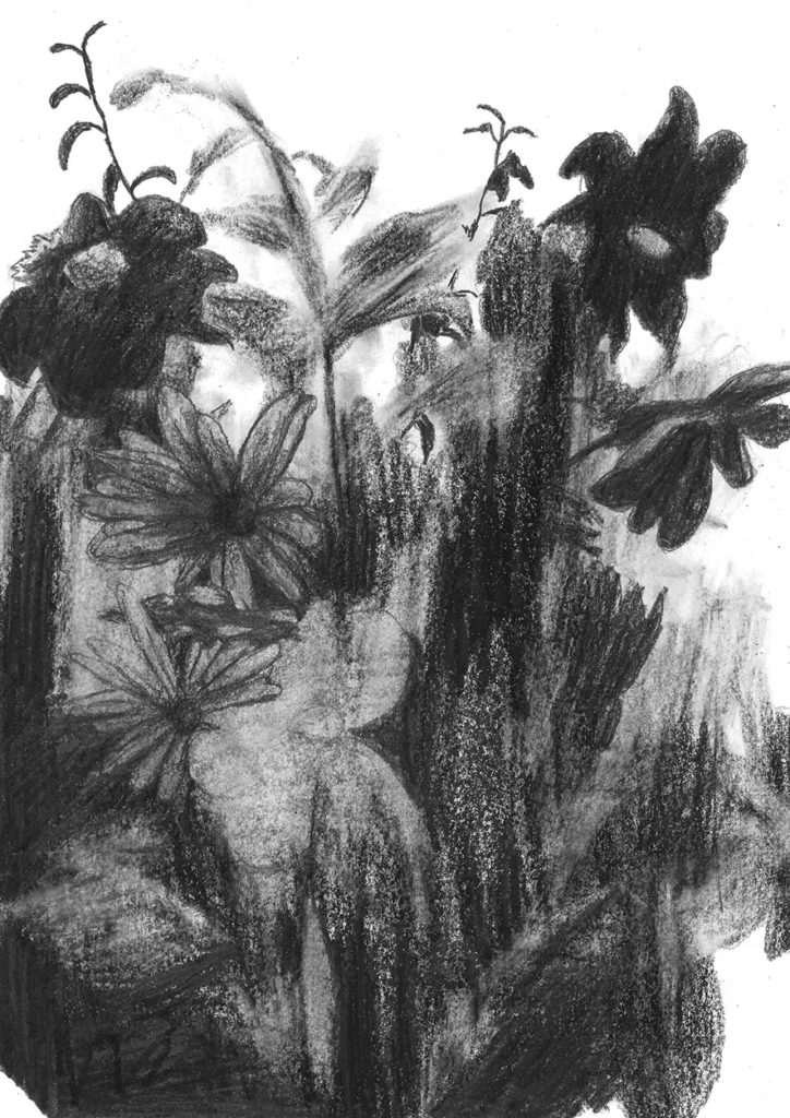 FREDERIC MALETTE-sublime inutilite-21x29,7cm-graphite-2016-1