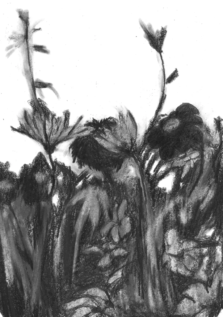 FREDERIC MALETTE-sublime inutilite-21x29,7cm-graphite-2016-11