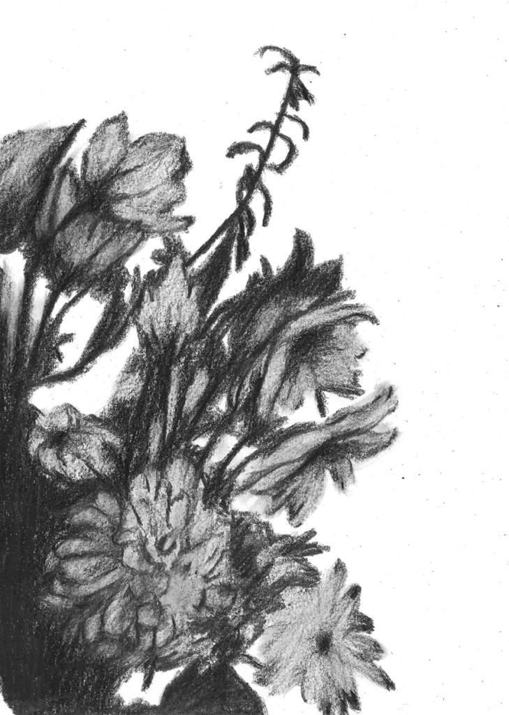 FREDERIC MALETTE-sublime inutilite-21x29,7cm-graphite-2016-14
