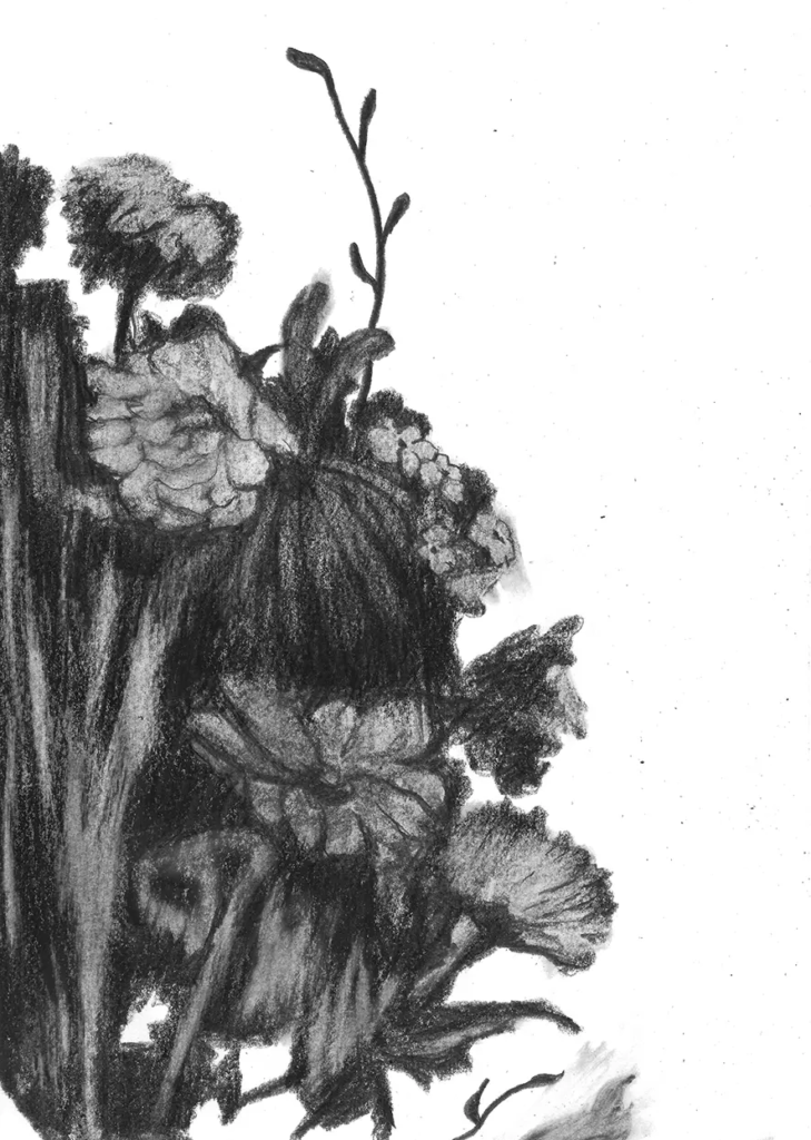 FREDERIC MALETTE-sublime inutilite-21x29,7cm-graphite-2016-15