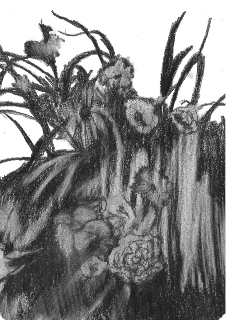 FREDERIC MALETTE-sublime inutilite-21x29,7cm-graphite-2016-16