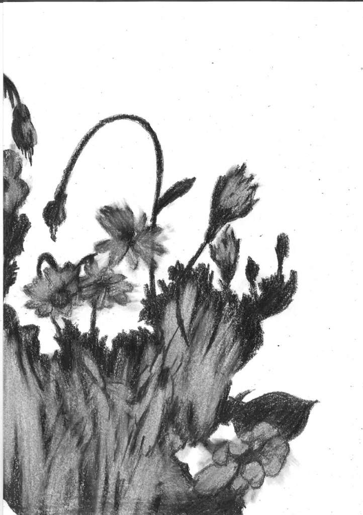 FREDERIC MALETTE-sublime inutilite-21x29,7cm-graphite-2016-17