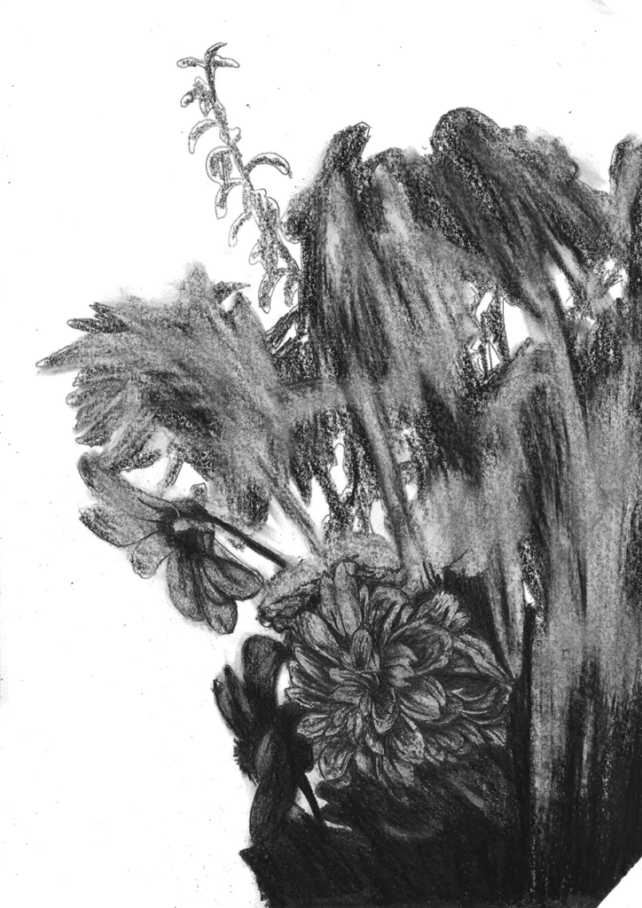 FREDERIC MALETTE-sublime inutilite-21x29,7cm-graphite-2016-2
