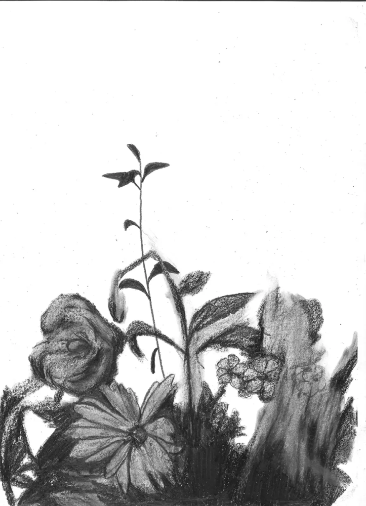 FREDERIC MALETTE-sublime inutilite-21x29,7cm-graphite-2016-22