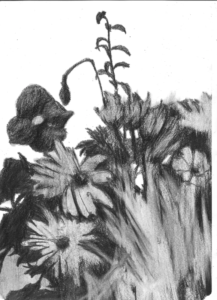 FREDERIC MALETTE-sublime inutilite-21x29,7cm-graphite-2016-25