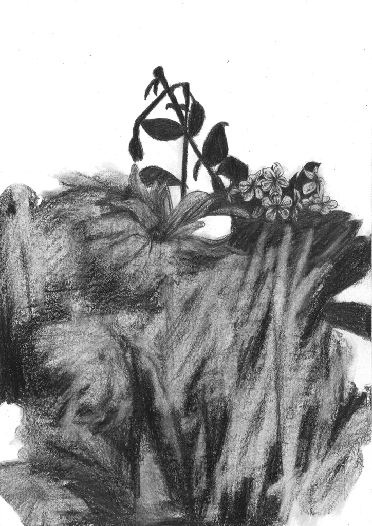 FREDERIC MALETTE-sublime inutilite-21x29,7cm-graphite-2016-5