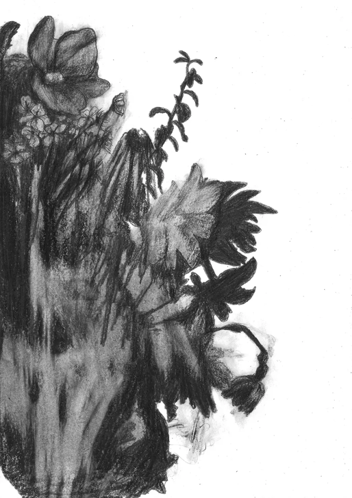 FREDERIC MALETTE-sublime inutilite-21x29,7cm-graphite-2016-6