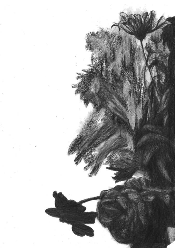 FREDERIC MALETTE-sublime inutilite-21x29,7cm-graphite-2016-7