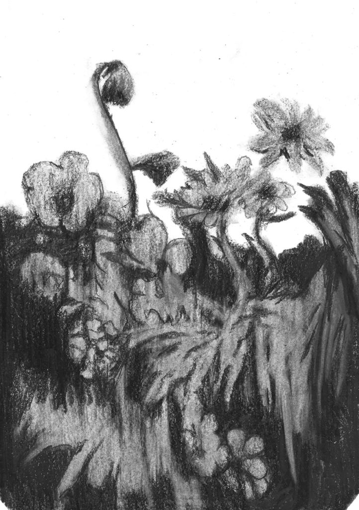 FREDERIC MALETTE-sublime inutilite-21x29,7cm-graphite-2016-8