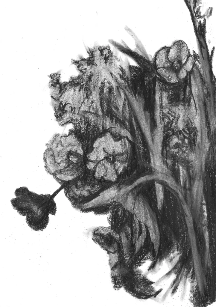 FREDERIC MALETTE-sublime inutilite-21x29,7cm-graphite-2016-9